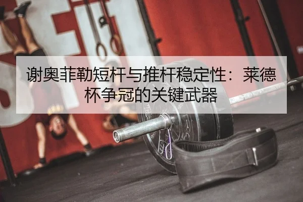 xie-ao-fei-lei-duan-gan-yu-tui-gan-wen-ding-xing-lai-de-bei-zheng-guan-de-guan-jian-wu-qi-2-990.jpg